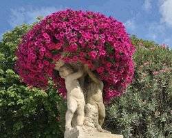 Mobilier de jardin 07